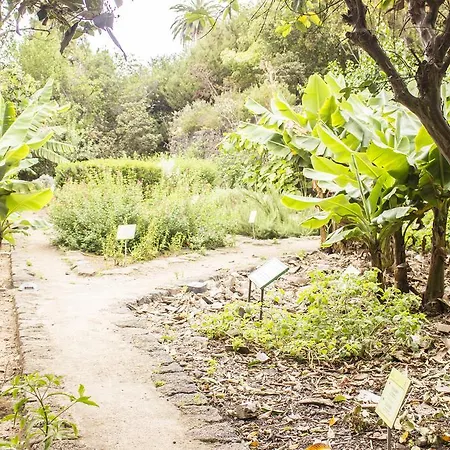 Jazmin